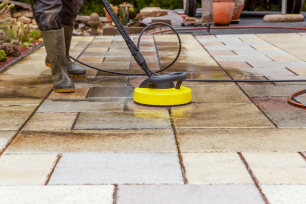 Best Driveway Pressure Washing  in Shady Hills, FL